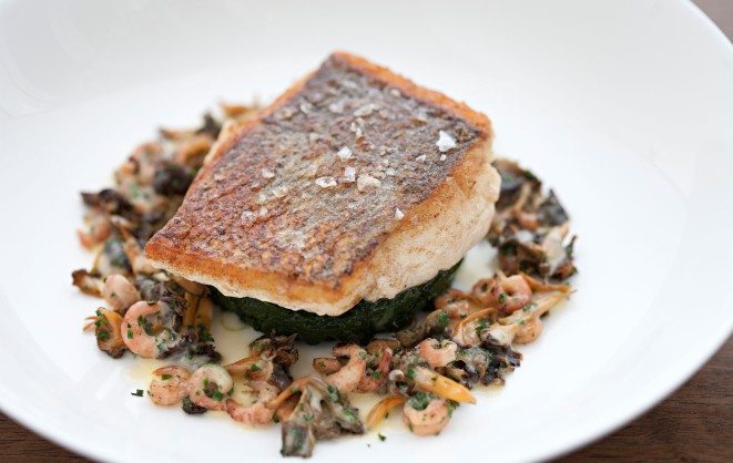 Roasted hake seasonal wild mushrooms brown shrimp herb butter